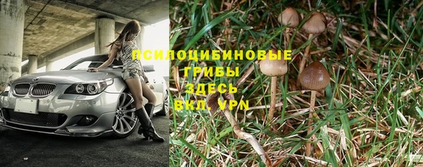 эйфоретик Алексин