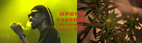 прущие грибы Алексеевка